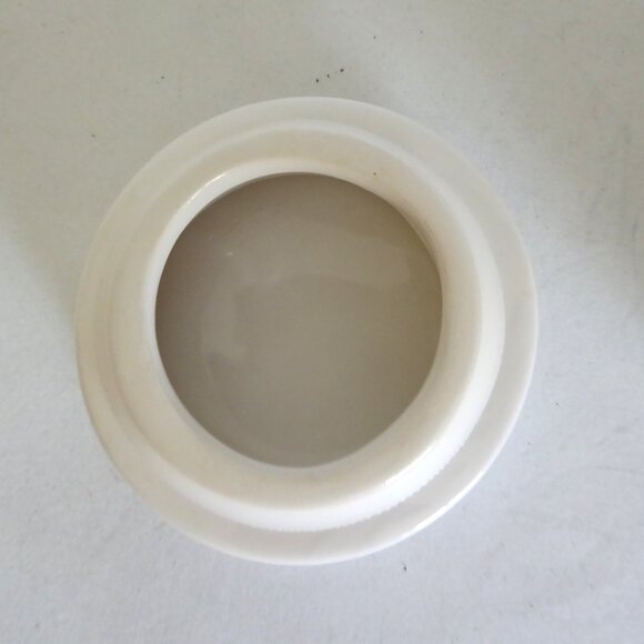 NEW 6” HALLOWEEN WHITE CERAMIC LIDDED APOTHECARY JAR PICKLED TOADS SNAKES - Picture 11 of 12